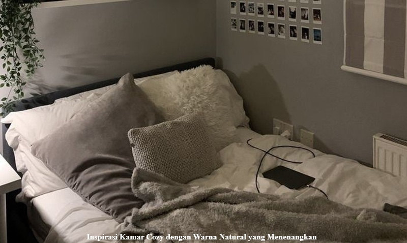 Kamar Cozy